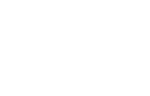 Black-Flag-Referenz-Skechers