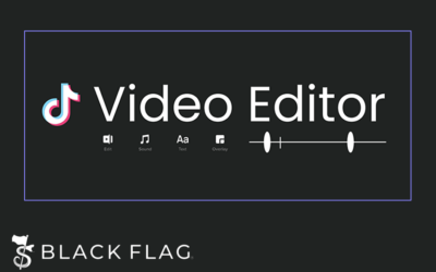 TikTok Video Editor