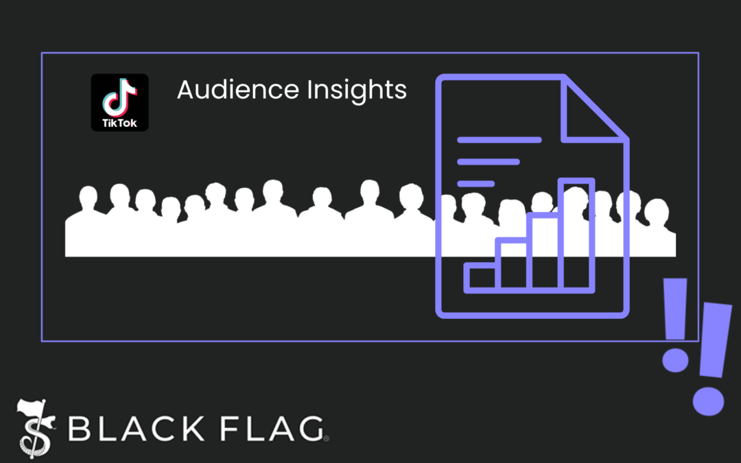 TikTok New Audience Insights Tool