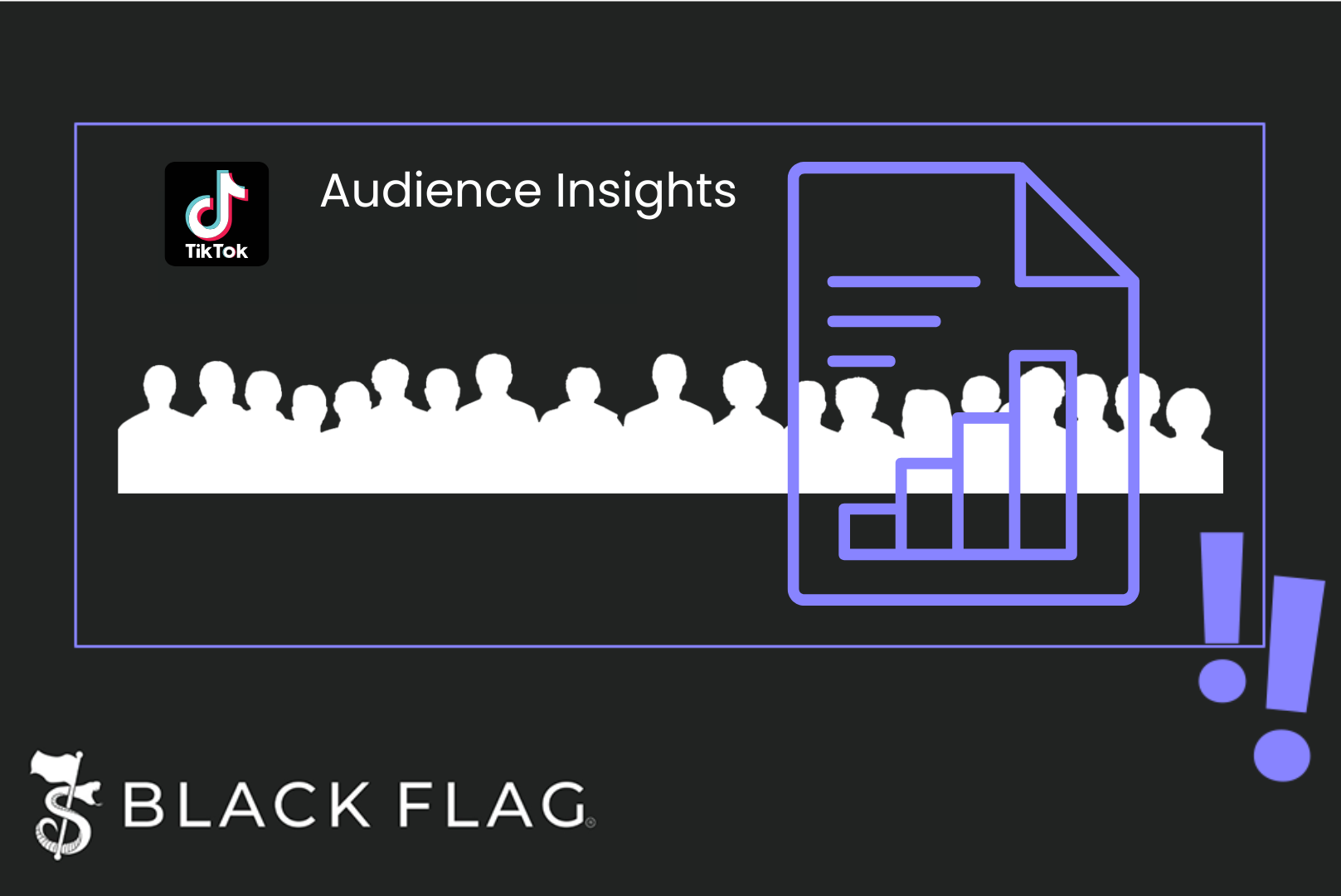 TikTok Audience Insights