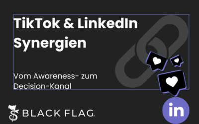 TikTok & LinkedIn Synergien: Vom Awareness- zum Decision-Kanal